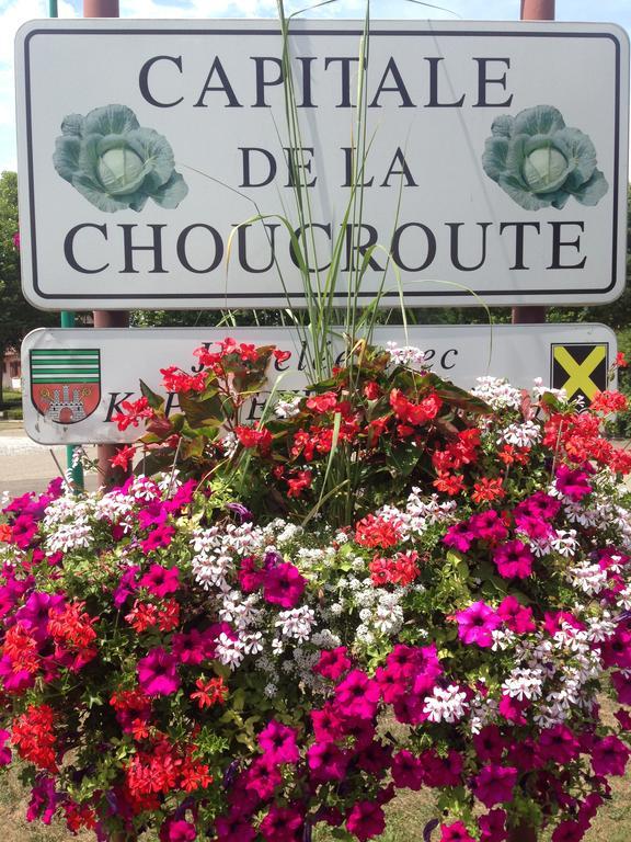 Hotel Eden Des Choux Krautergersheim Exteriér fotografie