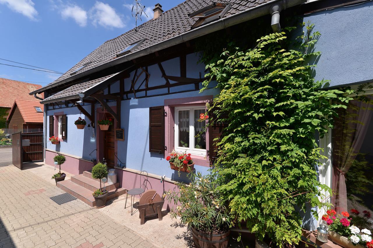 Hotel Eden Des Choux Krautergersheim Exteriér fotografie