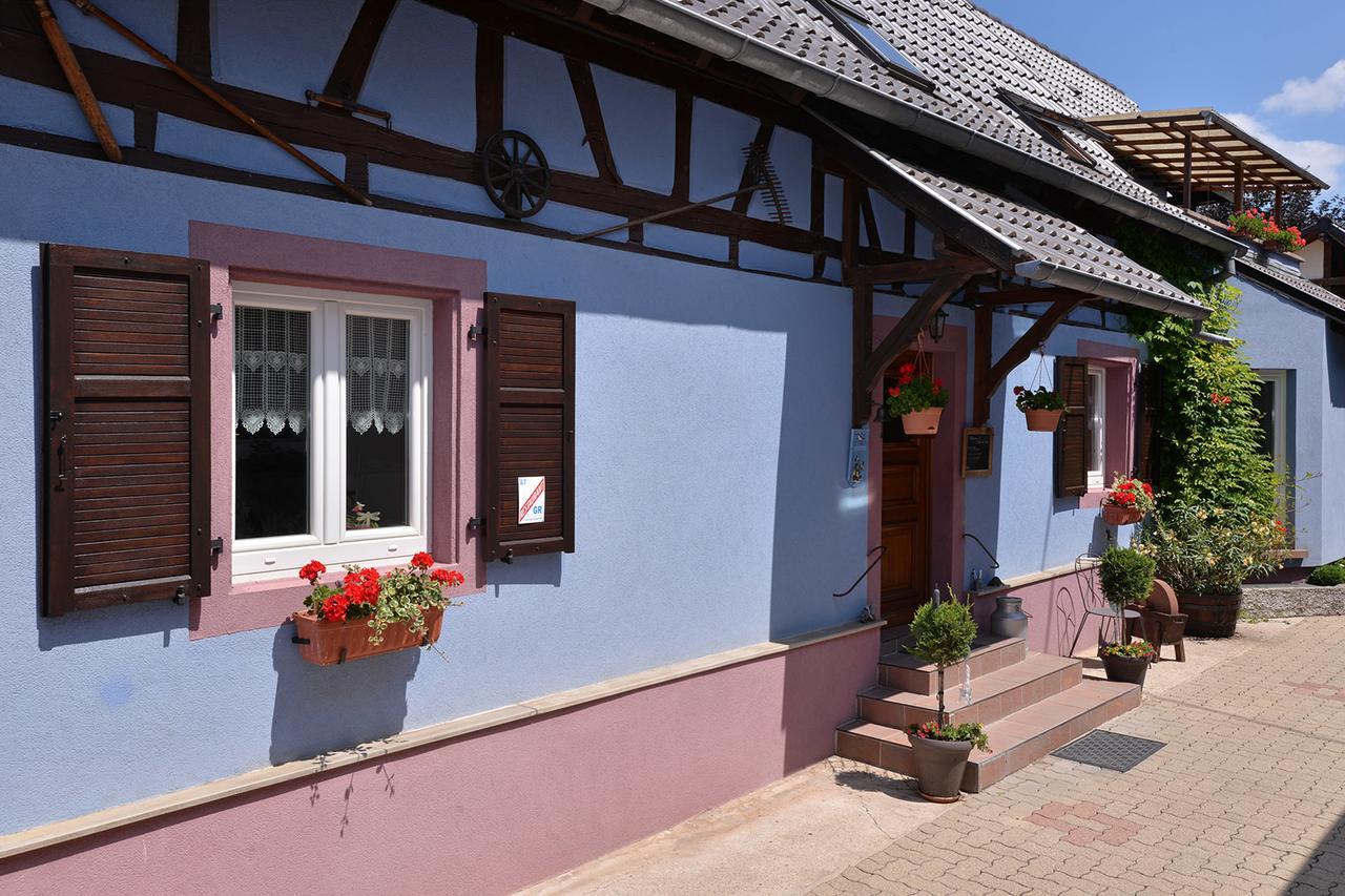 Hotel Eden Des Choux Krautergersheim Exteriér fotografie
